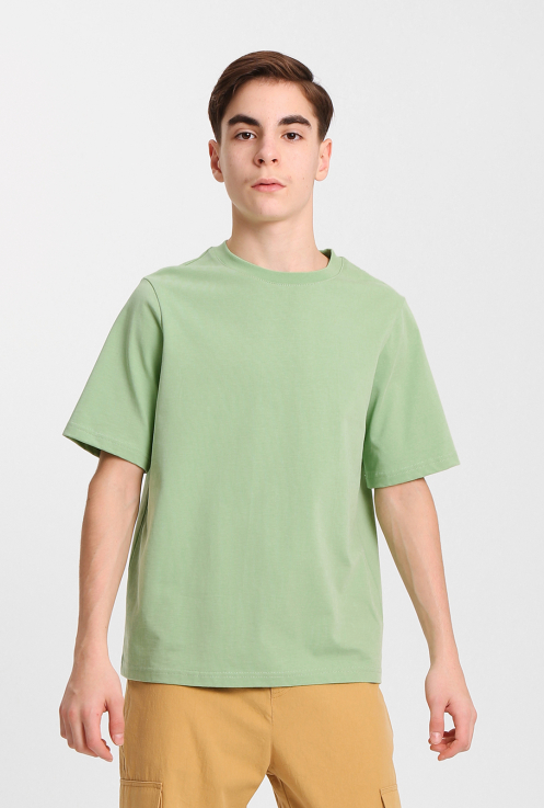 44073 Джемпер(футболка) для мальчиков T667.03 пыльно-зеленый